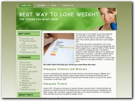 http://dietplans4idiots.co.uk website