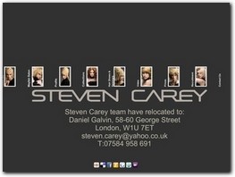 http://www.stevencareyhair.co.uk website