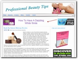 http://www.professionalbeautytips.com website