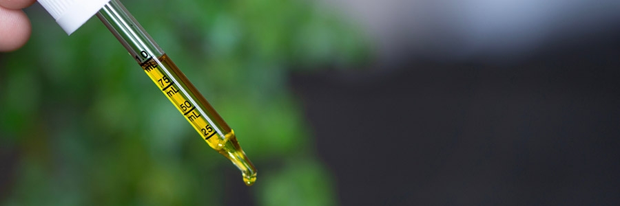 The Health and Beauty Benefits of Cannabis and CBD Oil