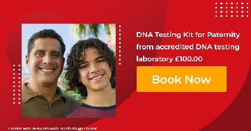 Paternity DNA Testing