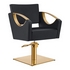 Salon Chair - Creativita Gold Styling Chair