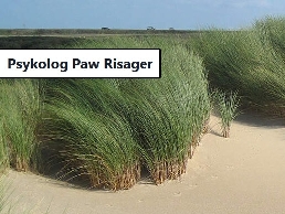 https://www.psykolog-pawrisager.dk/stress/ website