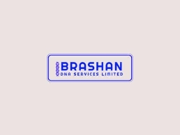 https://brashandna.com/ website