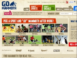 https://www.gomammoth.co.uk/ website