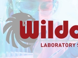 https://www.wildcatls.com/ website