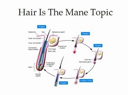 http://hairisthemanetopic.com/ website