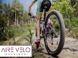 https://www.airevelobearings.com/ website