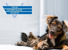 https://valevets.com/ website