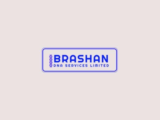 https://brashandna.com/ website