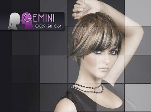 https://www.gemini-hair.co.uk/ website