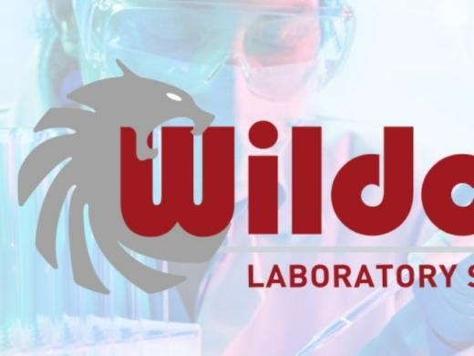 https://www.wildcatls.com/ website